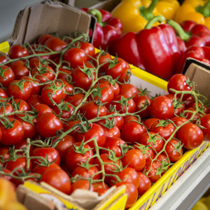 frutta e verdura pognana como